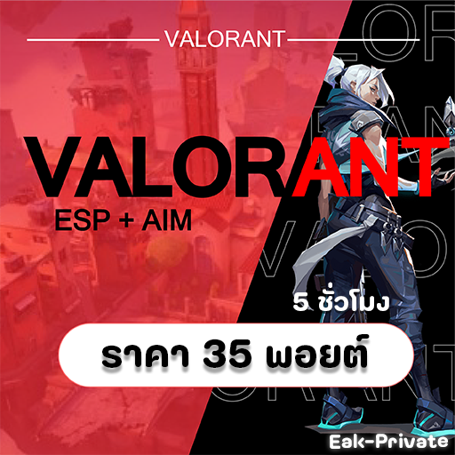 Valorant - 5 Hour