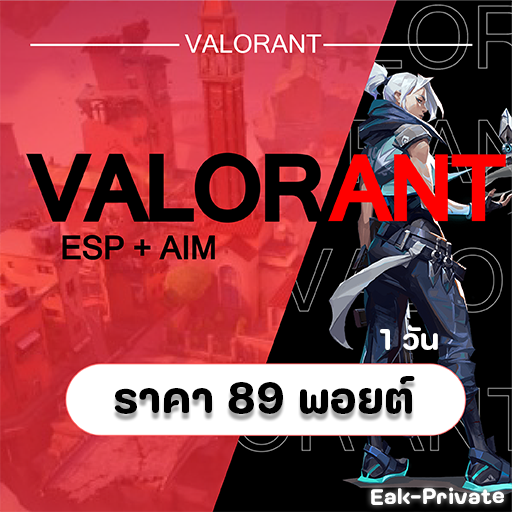 Valorant - 1 Day